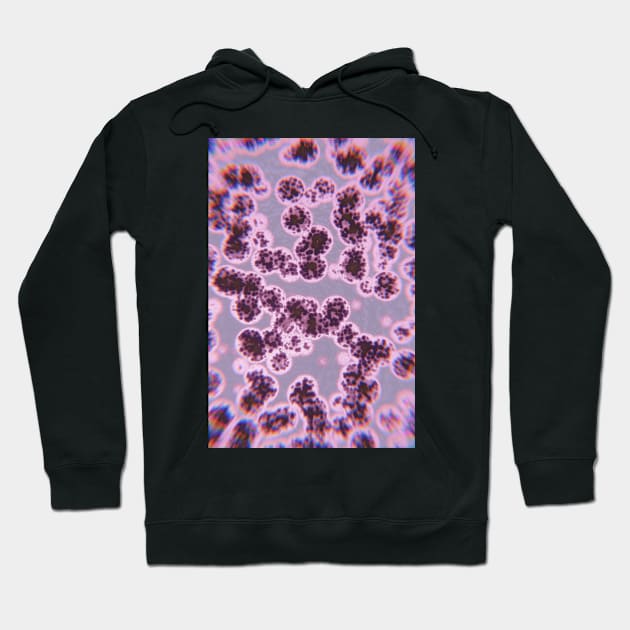 Cells And Biological Tissues Hoodie by mooonthemoon